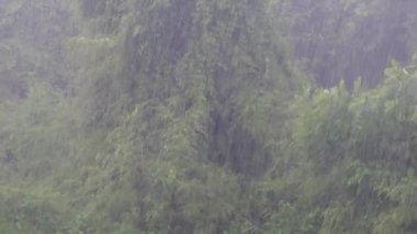 Gün yağmur yakın çekim