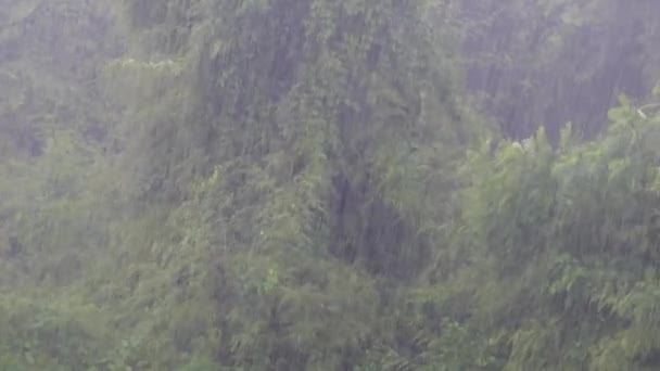 Fermer le jour de la pluie 