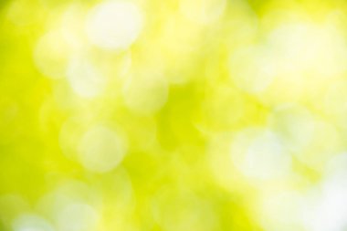 Yeşil bokeh soyut doğa arka plan.