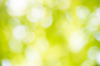 Yeşil bokeh soyut doğa arka plan.