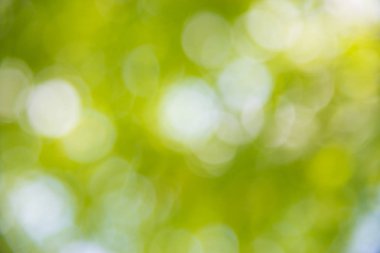 Yeşil bokeh soyut doğa arka plan.