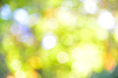 Yeşil bokeh soyut doğa arka plan.