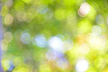 Yeşil bokeh soyut doğa arka plan.