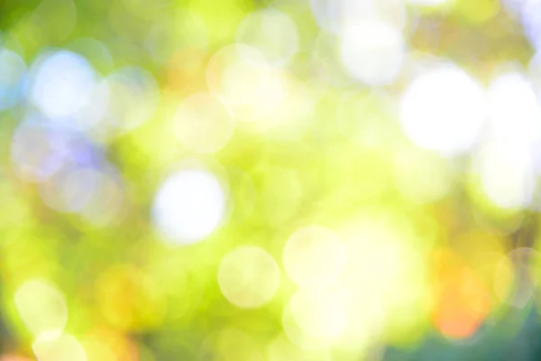 Green bokeh abstract nature background. Royalty Free Stock Images