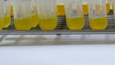 Kahverengi şişe reaktif laboratuvar kavramı kapatın.