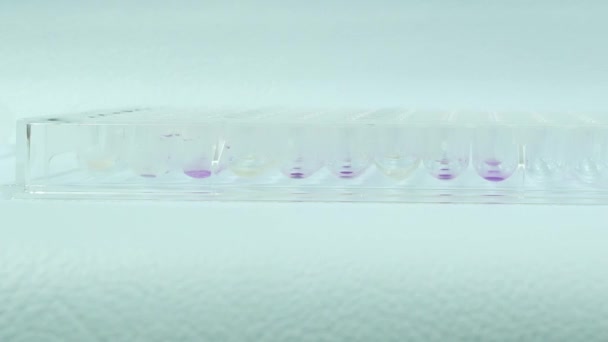 Close-up van bruine fles reagens laboratorium concept. — Stockvideo