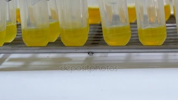 Close up bottiglia marrone reagente concetto di laboratorio . — Video Stock