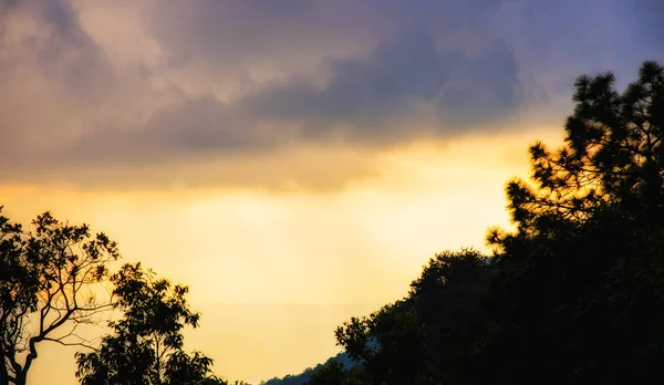 La luz de Dios naturaleza fondo . —  Fotos de Stock