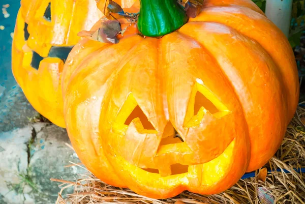 Cadılar Bayramı Balkabağı Kafa.