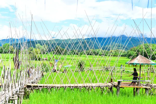 Verde rce presentada en Nan Tailandia . —  Fotos de Stock