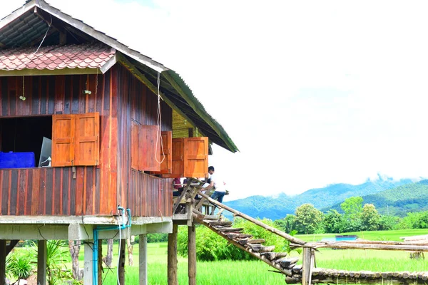 Verde rce presentada en Nan Tailandia . —  Fotos de Stock