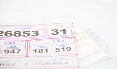 Tay piyango beyaz arka plan üzerinde kontrol.