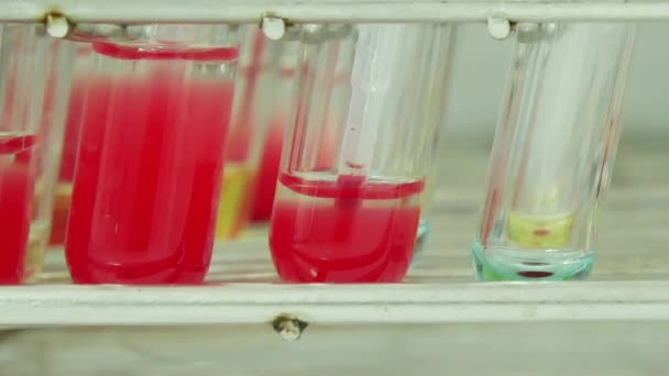 Εργαστήριο Δοκιμών Στην Ομάδα Αίματος — Αρχείο Βίντεο