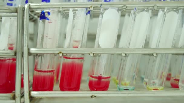 Laboratorium Badania Grupy Krwi — Wideo stockowe