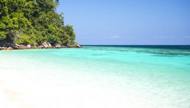 Yeşil deniz suyu arka plan.