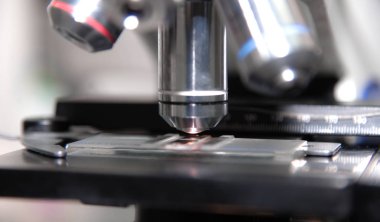 Laboratuvarda mikroskop.