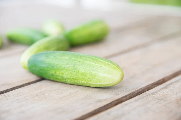 Close up fresh green cucumber. — Stock Photo, Image