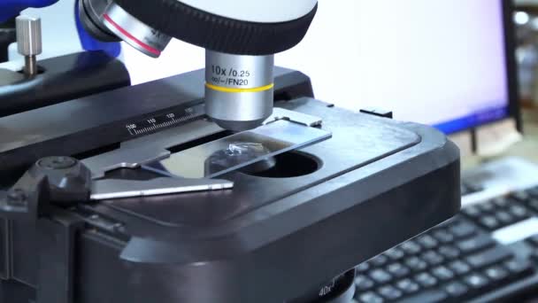 Close Hand Wetenschapper Met Behulp Van Lichte Microscoop Laboratorium — Stockvideo