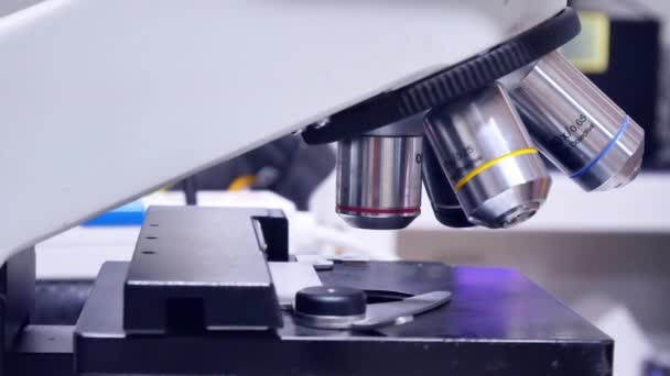 Закрыть Руки Ученого Помощью Светового Микроскопа Лаборатории — стоковое видео