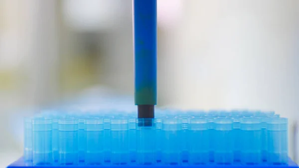 Blurred pipette tips in box. — Stock Photo, Image