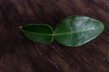 Koyu arkaplanda taze yeşil bergamot yaprağı.