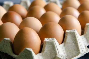 Grup yumurtalarını kutuya koy..