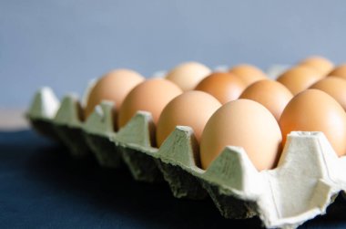 Grup yumurtalarını kutuya koy..