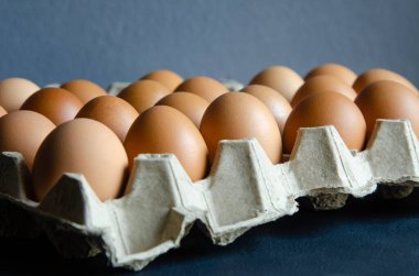 Grup yumurtalarını kutuya koy..