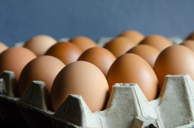 Grup yumurtalarını kutuya koy..