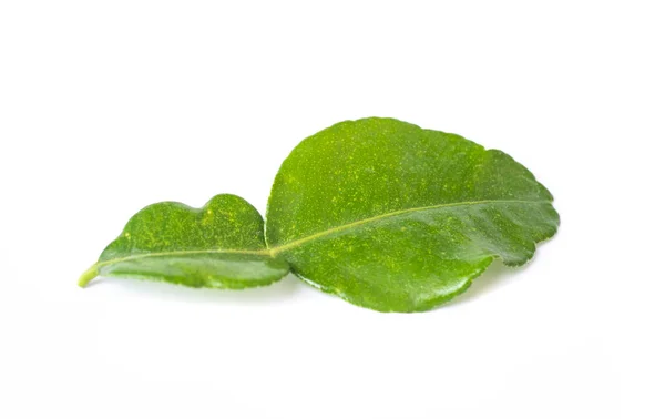 Green bergamot on white background. — Stock Photo, Image