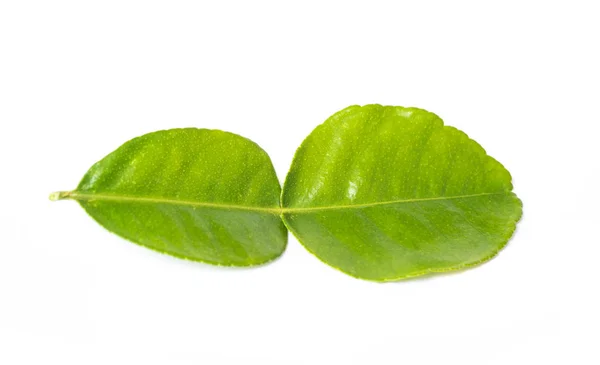 Green bergamot on white background. — Stock Photo, Image