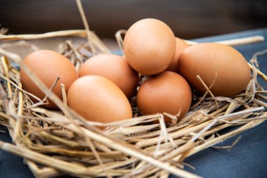 Doğada yumurtaları yakın..