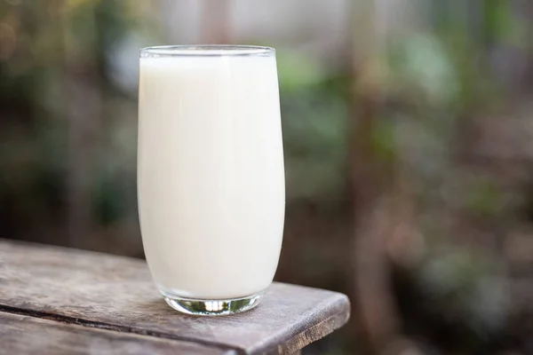 Gräs Mjölk Hälsosamt Drickande Koncept — Stockfoto
