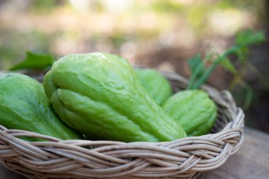Pişirmek için bambu sepeti içinde taze yeşil chayote.