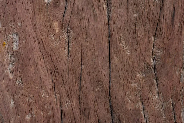Nahaufnahme Abstrakten Holzhintergrund Textur — Stockfoto