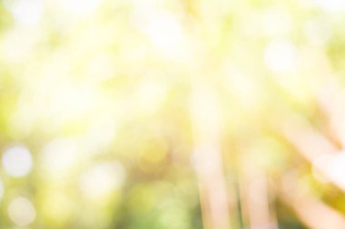 soyut bulanık bokeh duvar kağıdı arkaplanı.