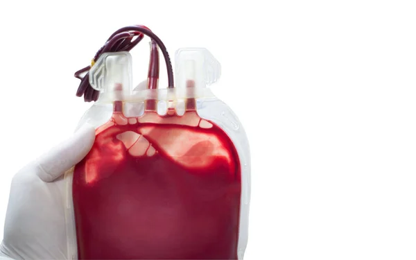 Close Red Blood Bag White Background — Stock Photo, Image