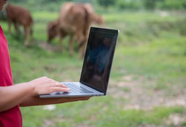 Rolnik Korzystający Laptopa Użytkach Rolnych Siecią Połączeń Tle Przyrody — Zdjęcie stockowe