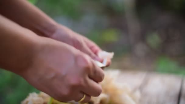 Mão Cozinhar Flores Vegetais Comida Tailandesa — Vídeo de Stock