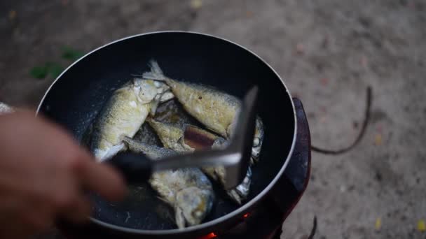 Chef Cocinando Pescado Frito Sartén — Vídeo de stock