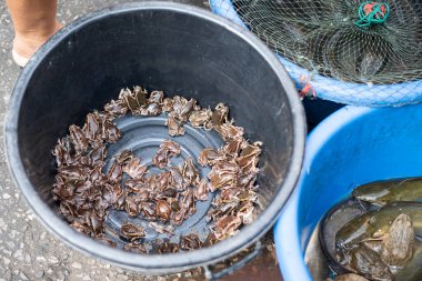 Tayland sokak pazarında çiğ eti kapat.