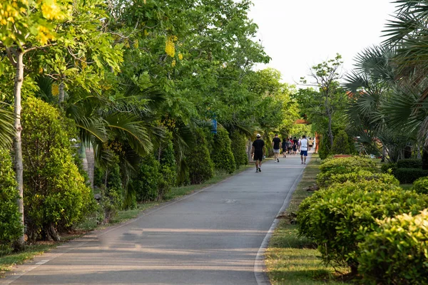 Palme Sul Parco Verde — Foto Stock