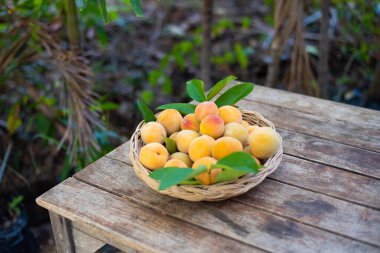 Ahşap masada şeftali tohumu.
