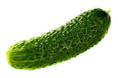 Salatalık beyaza izole edilmiş.