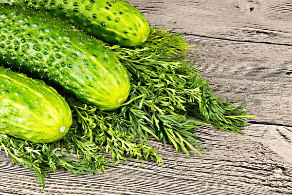 Färska gröna gurkor med dill på träbord — Stockfoto