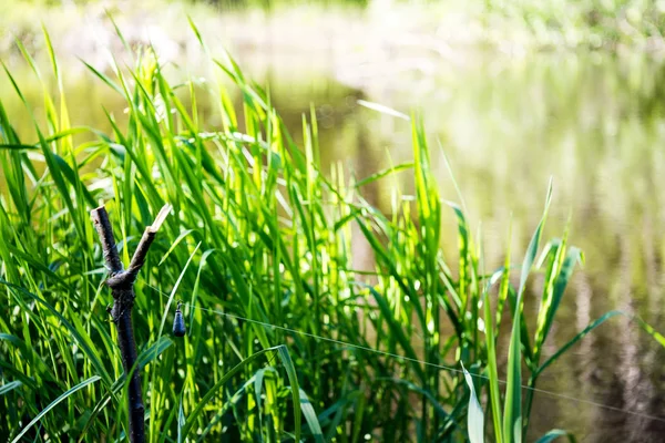 Olta kurşunu ile alt Balıkçılık için mücadele