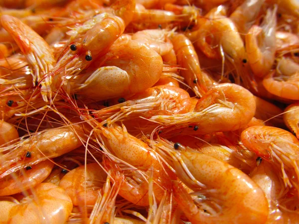 Haşlanmış deniz karides