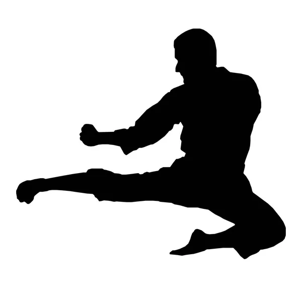 Karate savaşçı tekme siluet