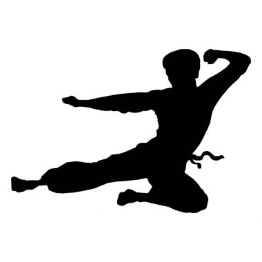 Karate savaşçı tekme siluet