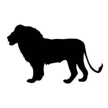vektör görüntü aslan